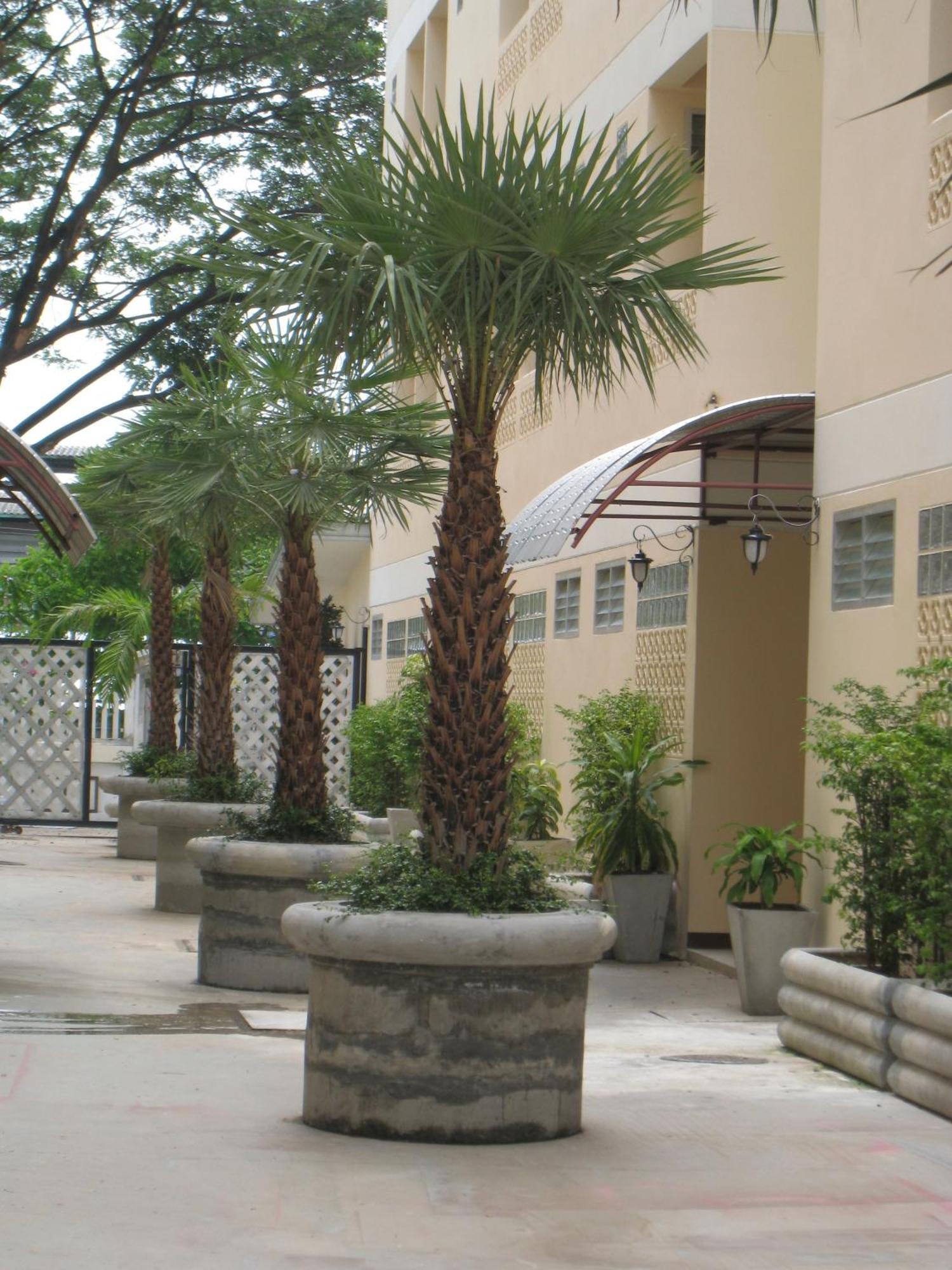 Rafael Hotel And Mansion Bangkok - Sha Extra Plus Certified Exterior photo